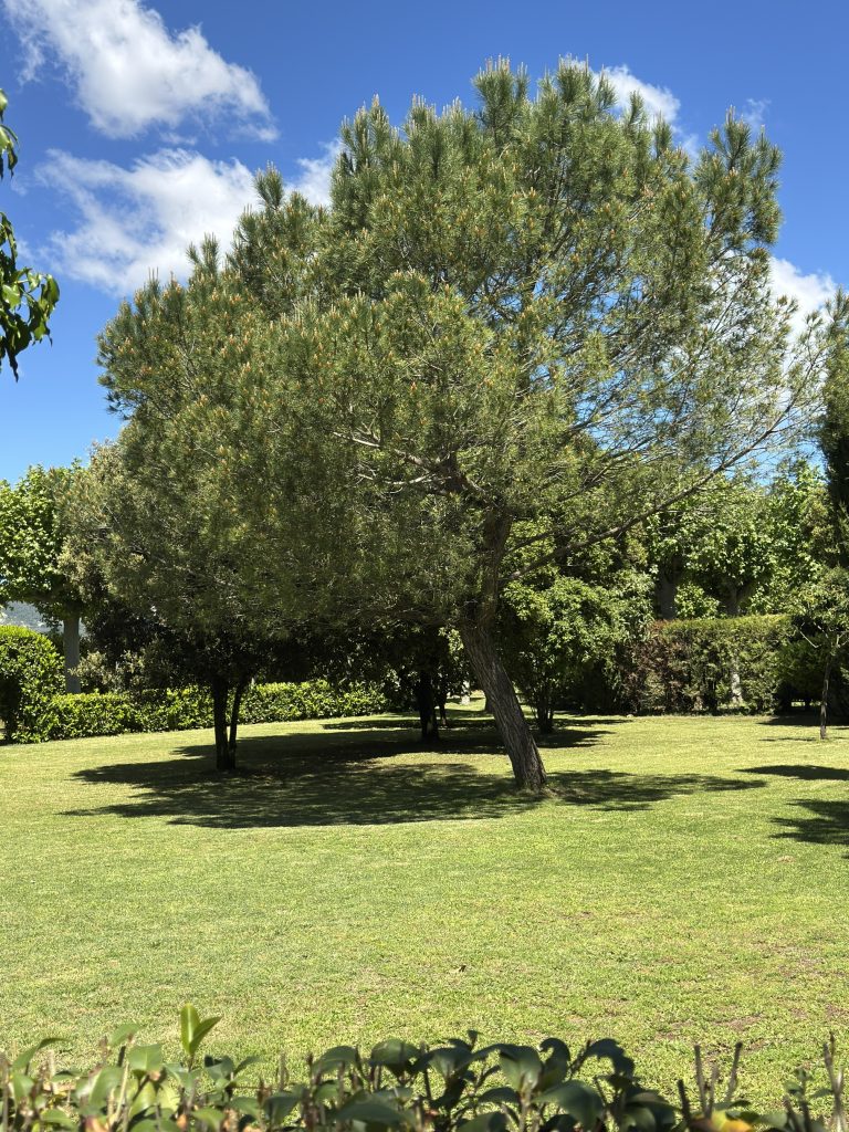Dos dies als Hostalets de Balenyà